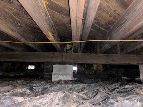 crawl space mold