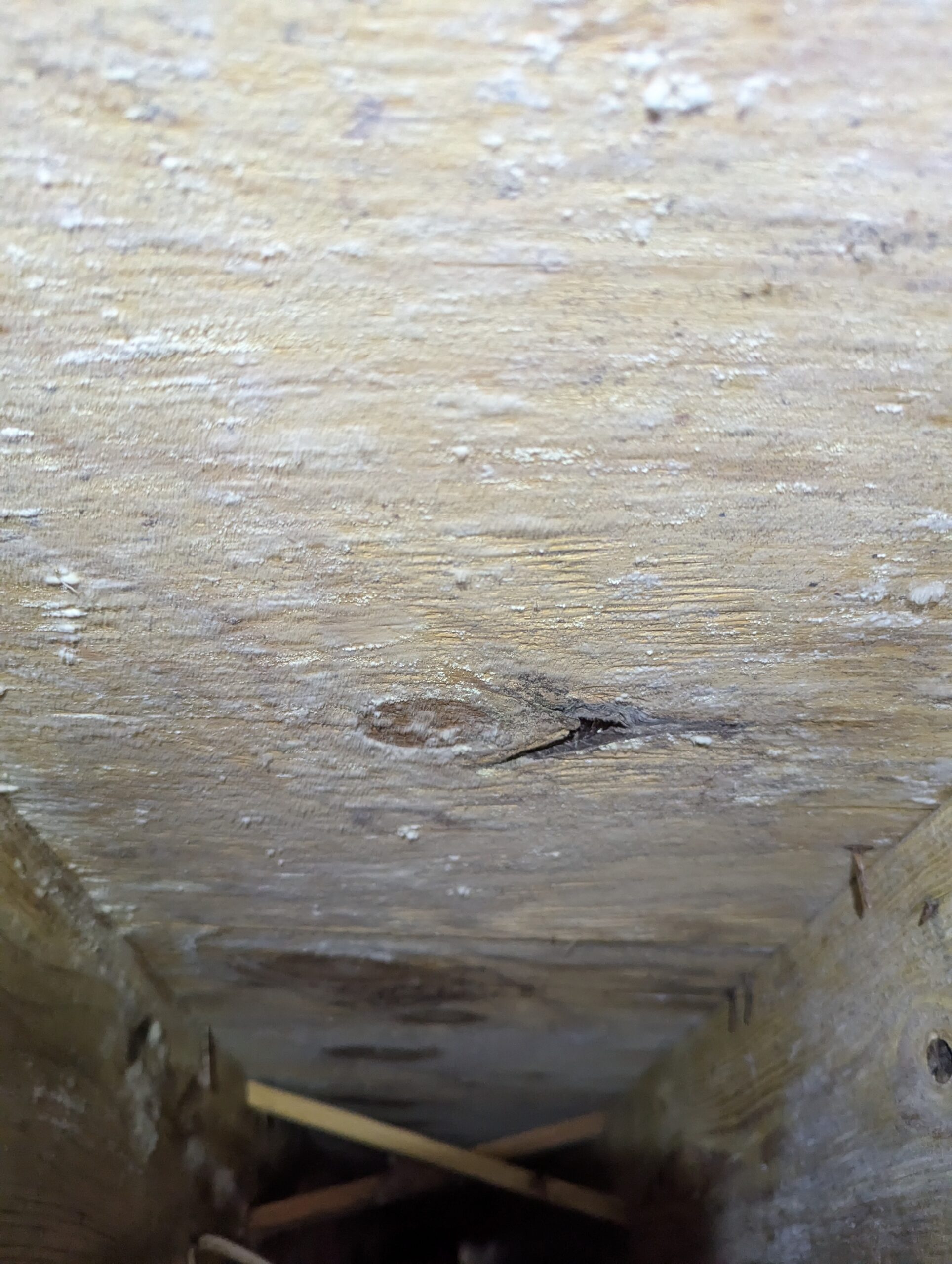 Close-up view of a wooden surface inside a rectangular box or tunnel, showing rough texture, knots, and nails protruding from the sides.