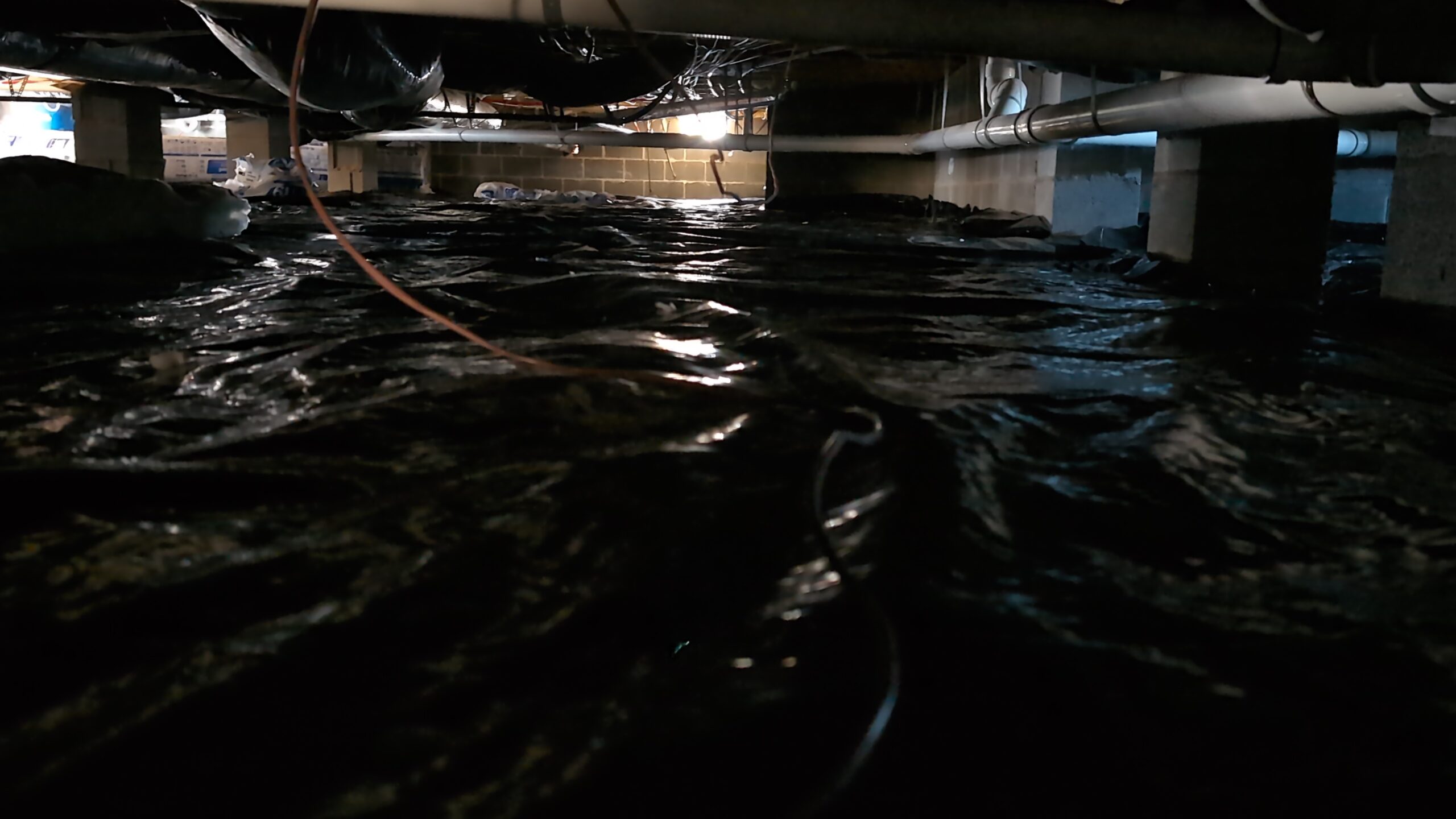 Crawl space with black plastic covering and visible moisture, illustrating the need for professional dehumidification services to prevent mold and moisture damage.